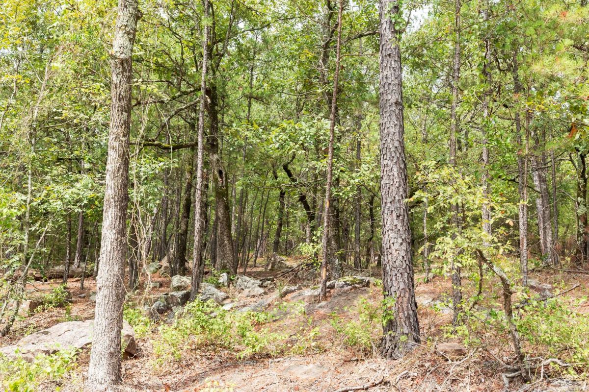 Decorative background for Stone Bridge Phase V Tract 360 image 9