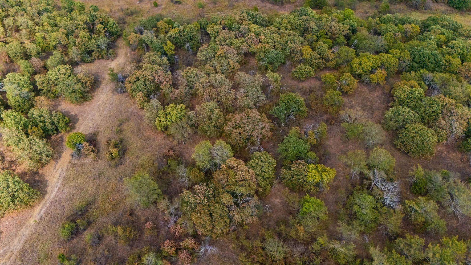 Gracyn Meadows Tract 2 in Okfuskee County, OK