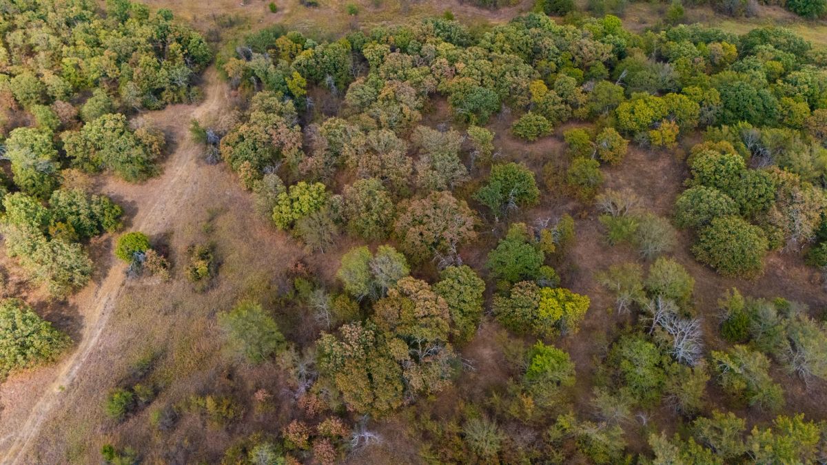 Gracyn Meadows Tract 2 - Main image