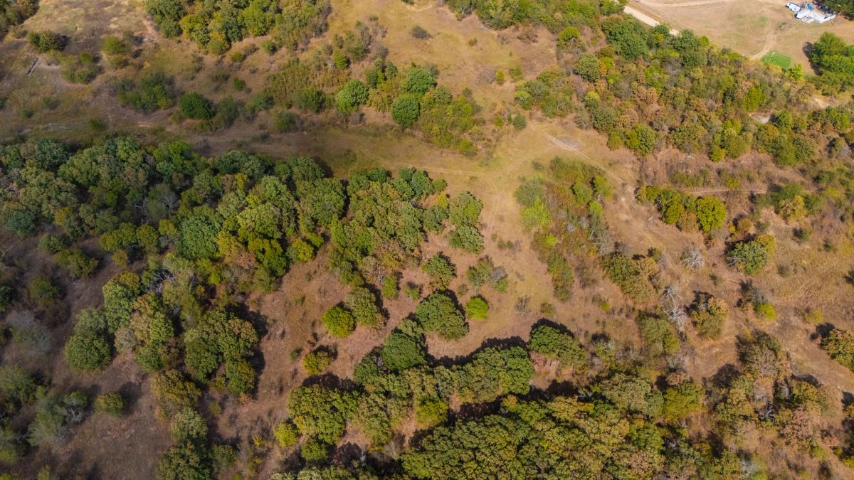 Gracyn Meadows Tract 2 - Image 2