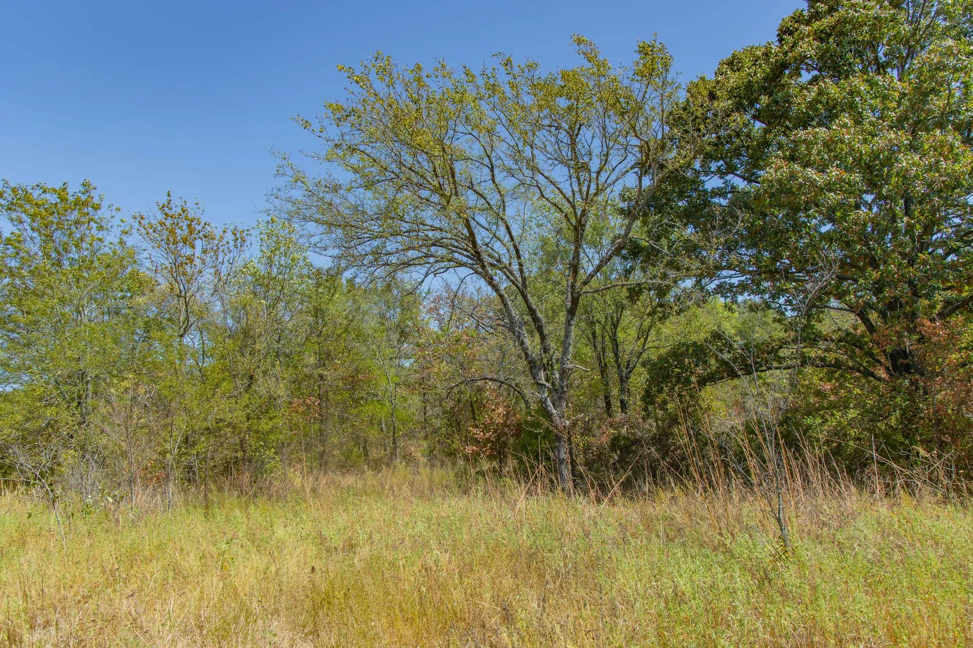 Gracyn Meadows Tract 2 in Okfuskee County, OK
