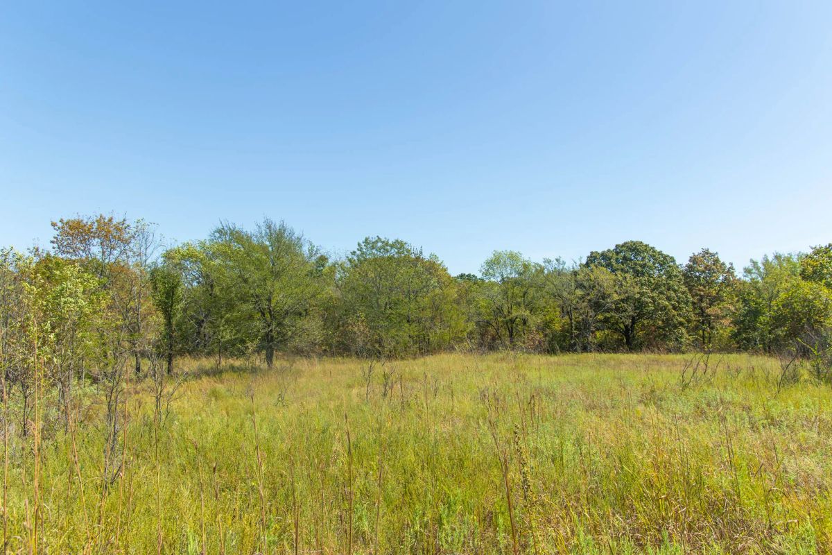 Decorative background for Gracyn Meadows Tract 2 image 5