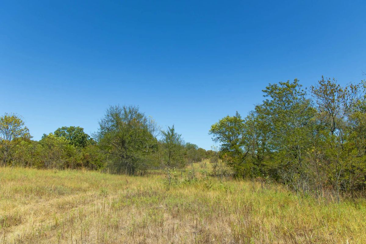Decorative background for Gracyn Meadows Tract 2 image 9