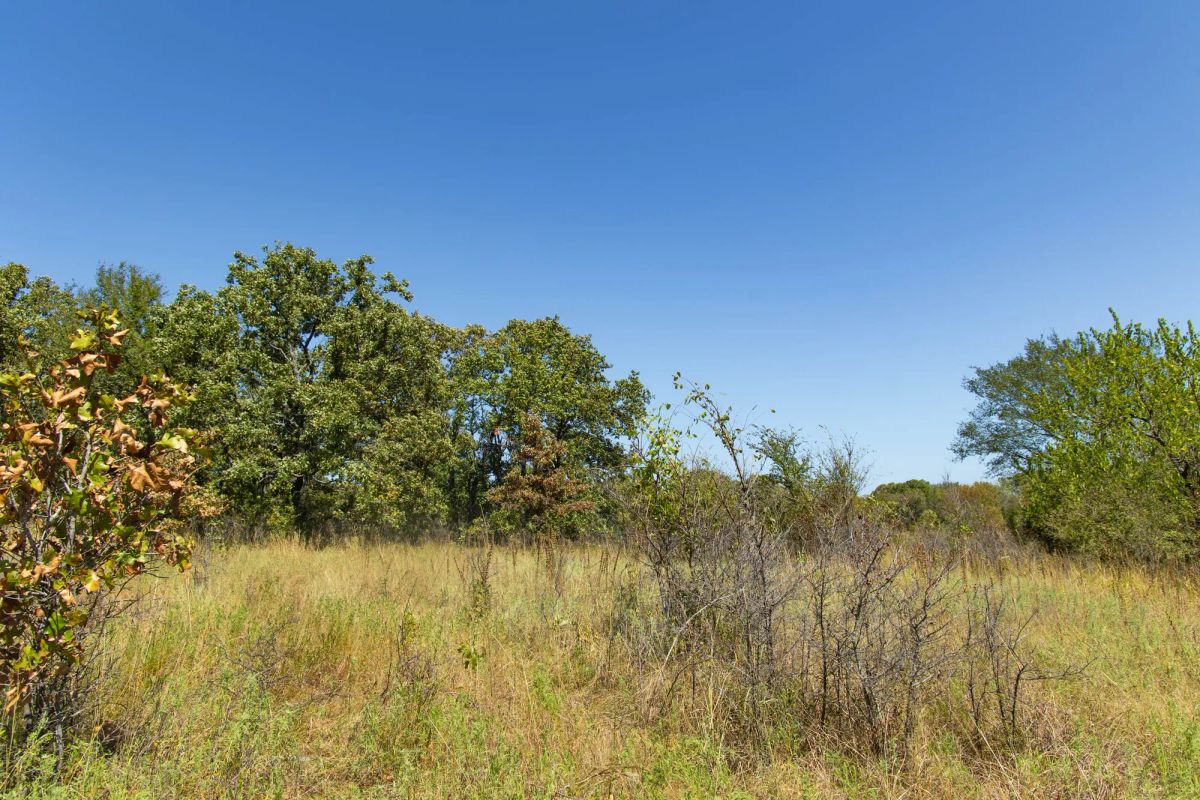 Decorative background for Gracyn Meadows Tract 2 image 10