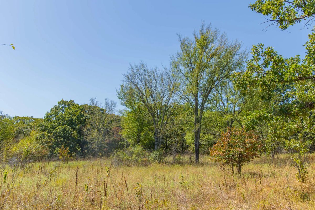 Decorative background for Gracyn Meadows Tract 2 image 12