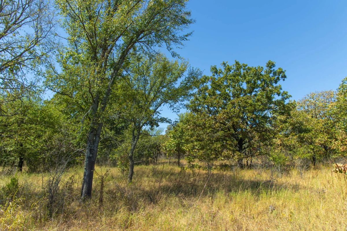 Decorative background for Gracyn Meadows Tract 2 image 13