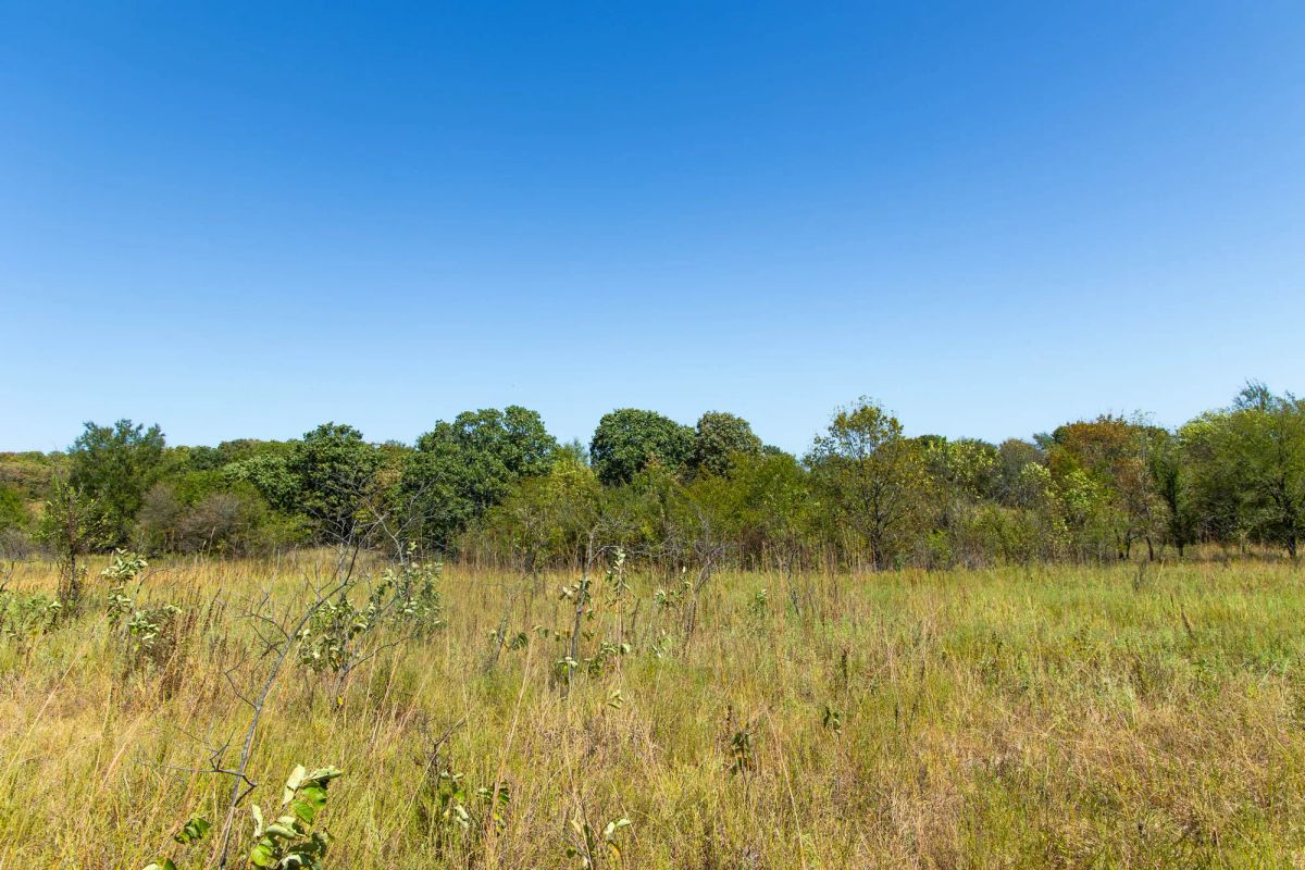 Decorative background for Gracyn Meadows Tract 2 image 14