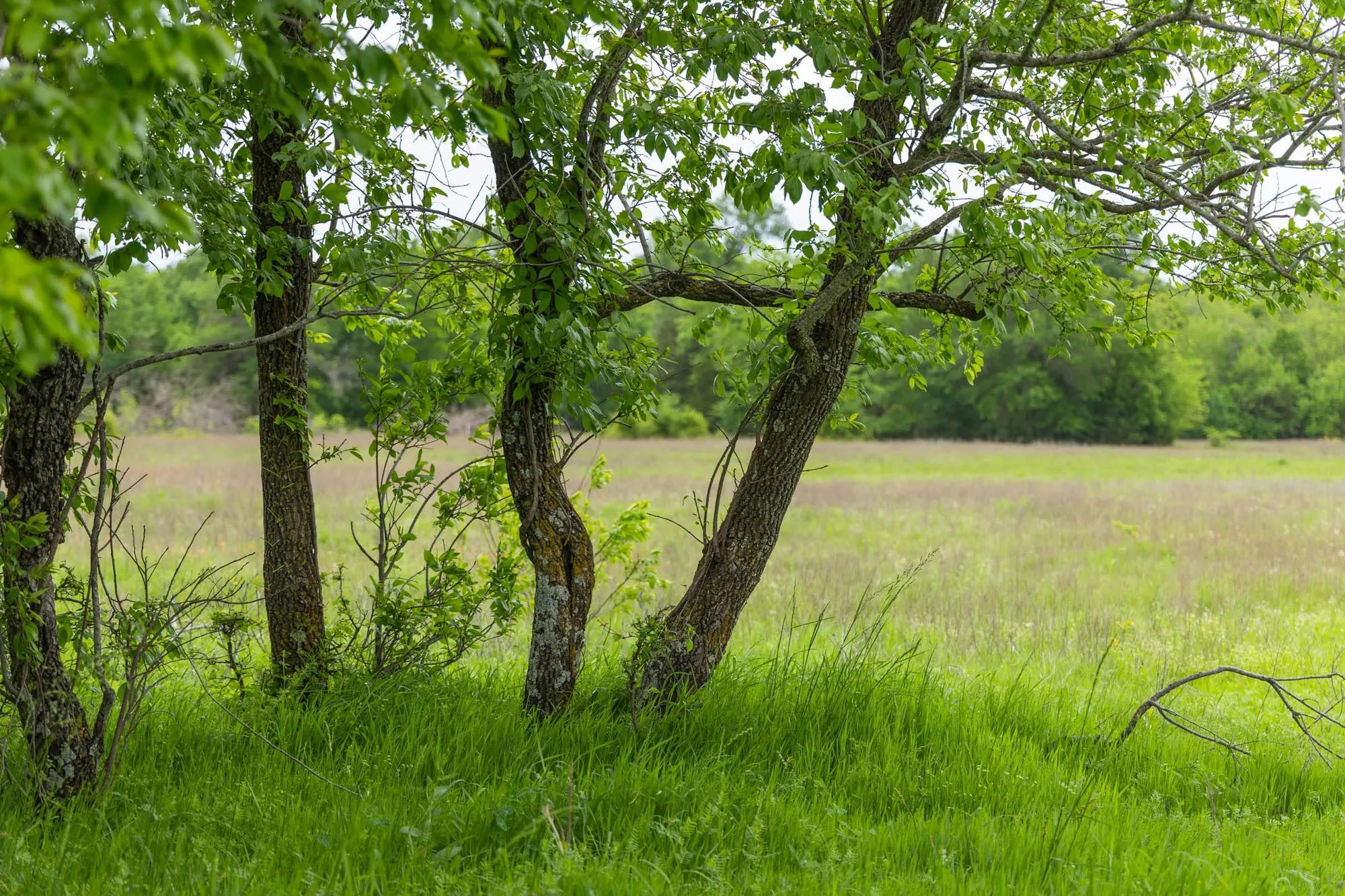 Harmony Hills Tract 29 in Pittsburg County, OK