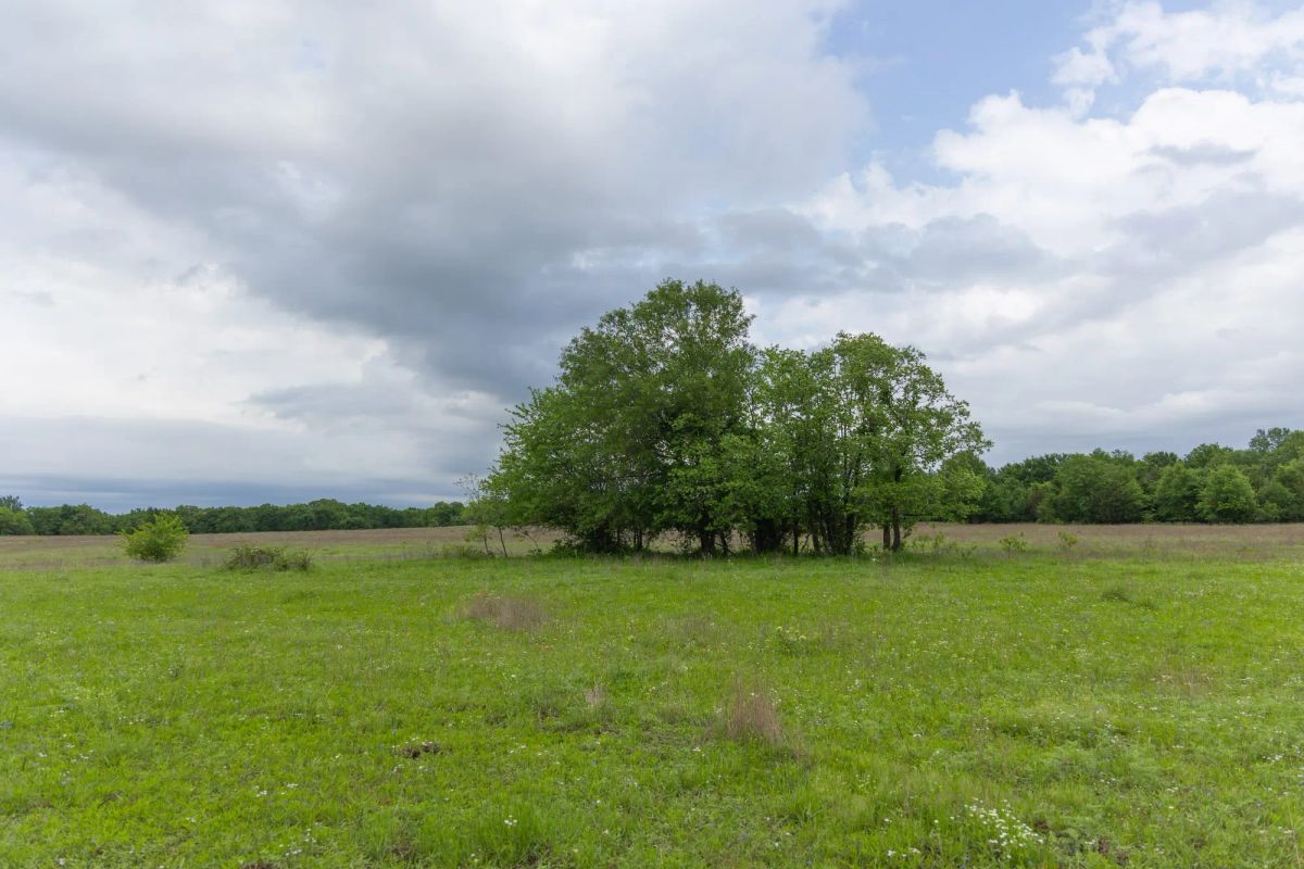 Decorative background for Harmony Hills Tract 29 image 5