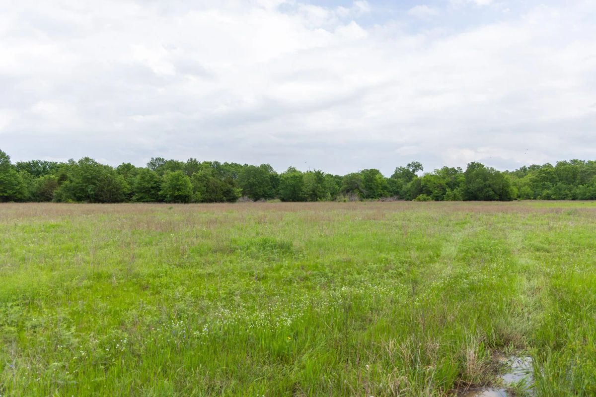 Decorative background for Harmony Hills Tract 29 image 7