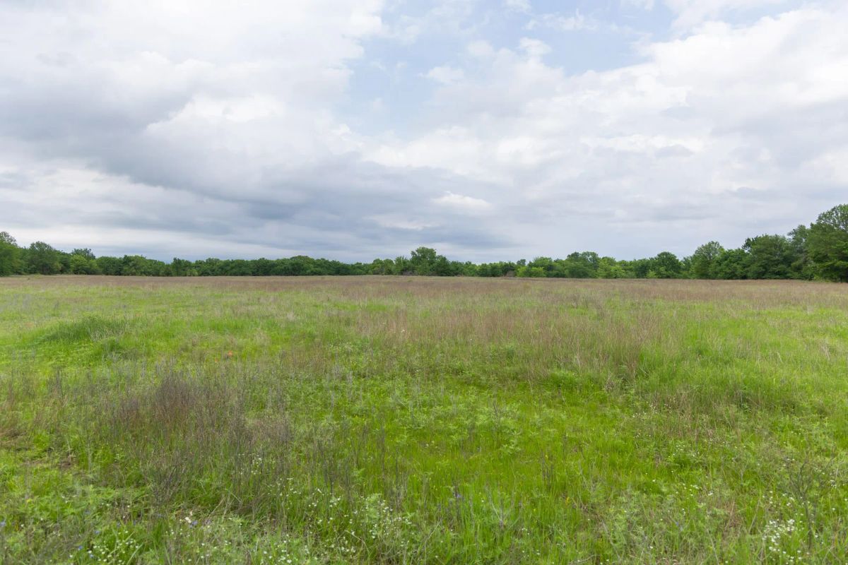 Decorative background for Harmony Hills Tract 29 image 8