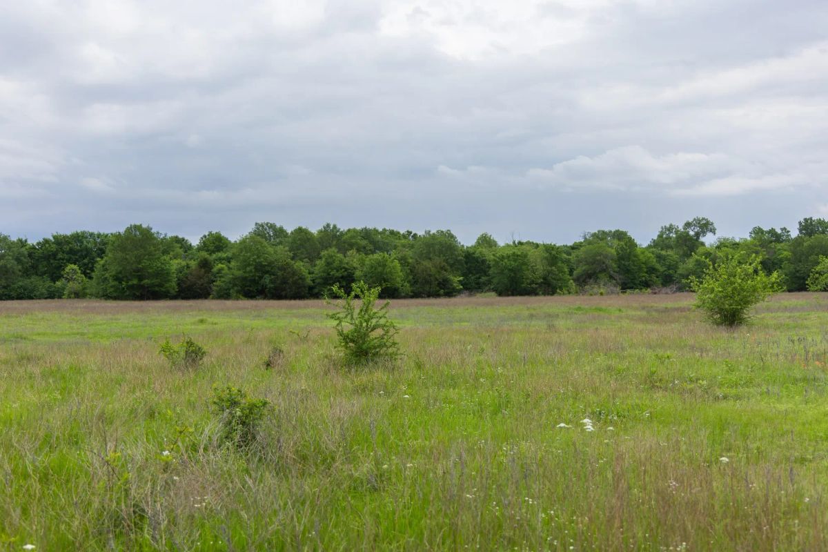 Decorative background for Harmony Hills Tract 29 image 12