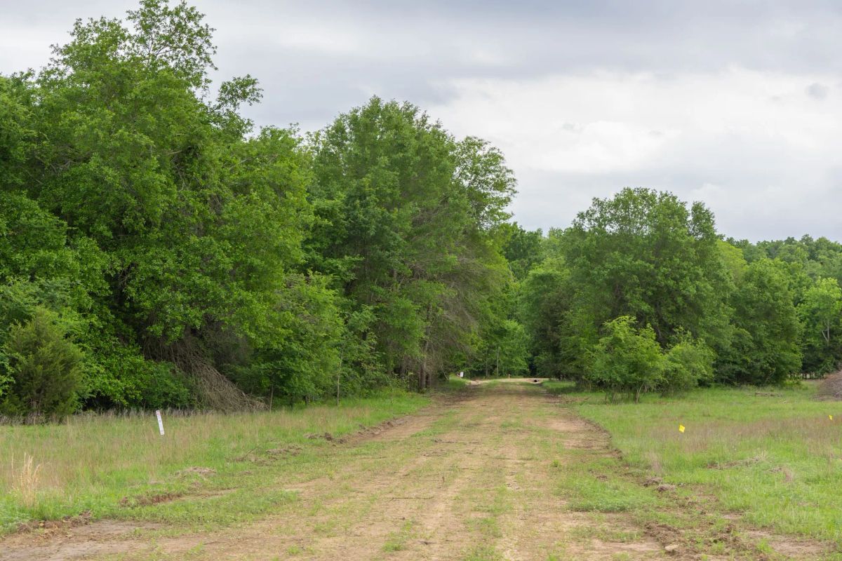 Decorative background for Harmony Hills Tract 29 image 13