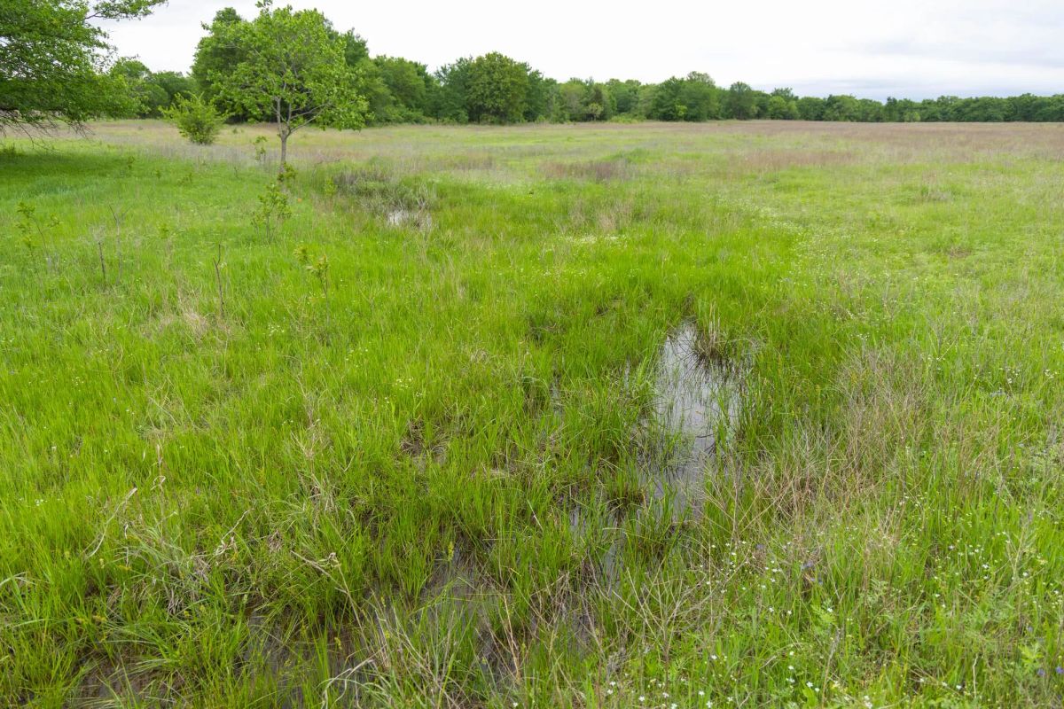 Decorative background for Harmony Hills Tract 29 image 14