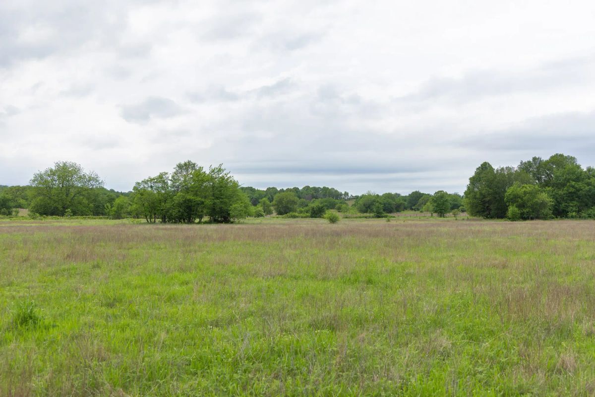 Decorative background for Harmony Hills Tract 29 image 16