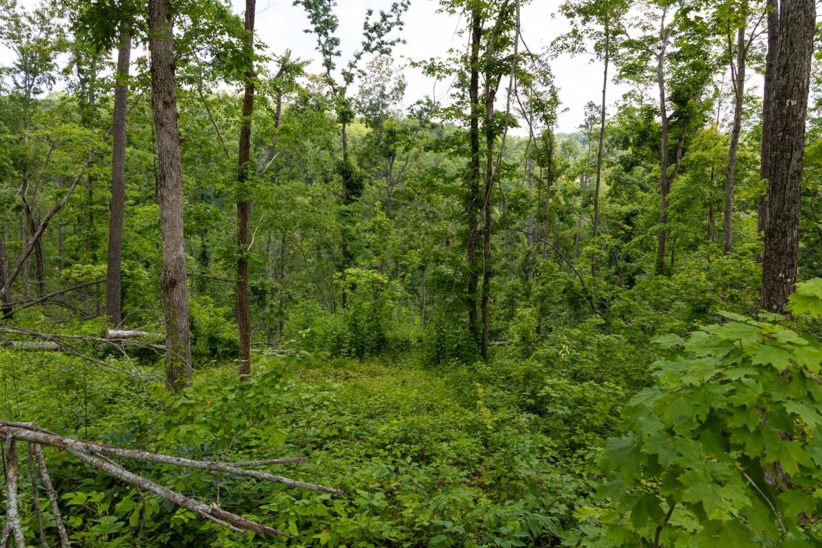 Creek Hollow Phase II Tract 57 - Main image