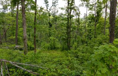 Creek Hollow Phase II Tract 57