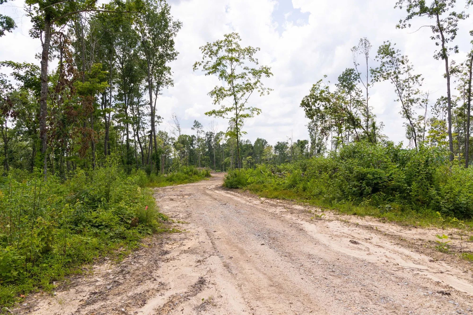 Creek Hollow Phase II Tract 57 in Rockcastle County, KY