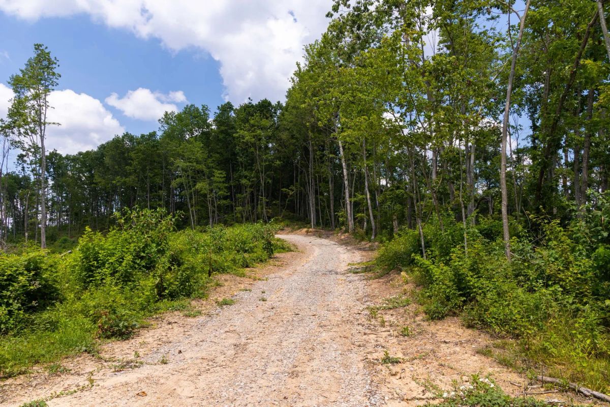 Decorative background for Creek Hollow Phase II Tract 57 image 6