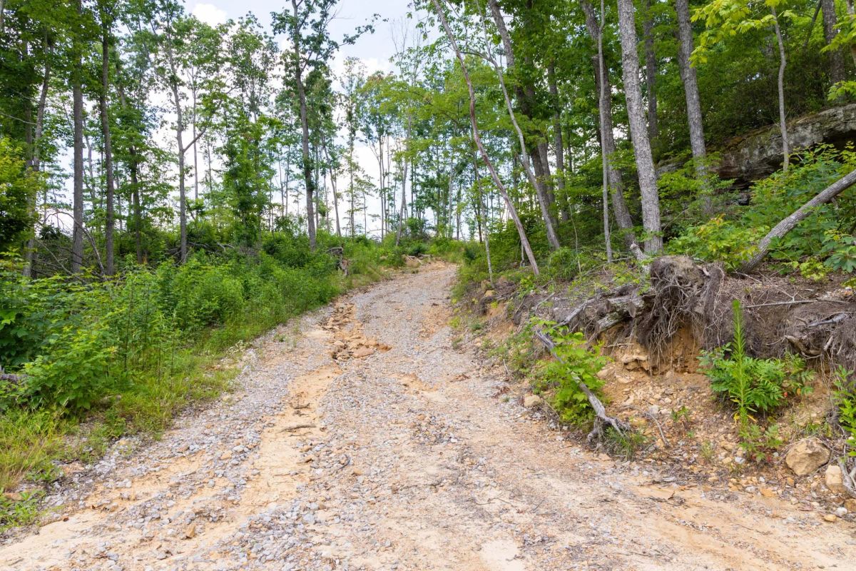 Decorative background for Creek Hollow Phase II Tract 57 image 11