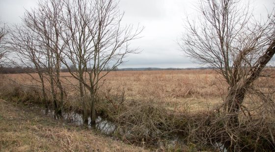 Canadian Plains Tract 12 in Pittsburg County, OK