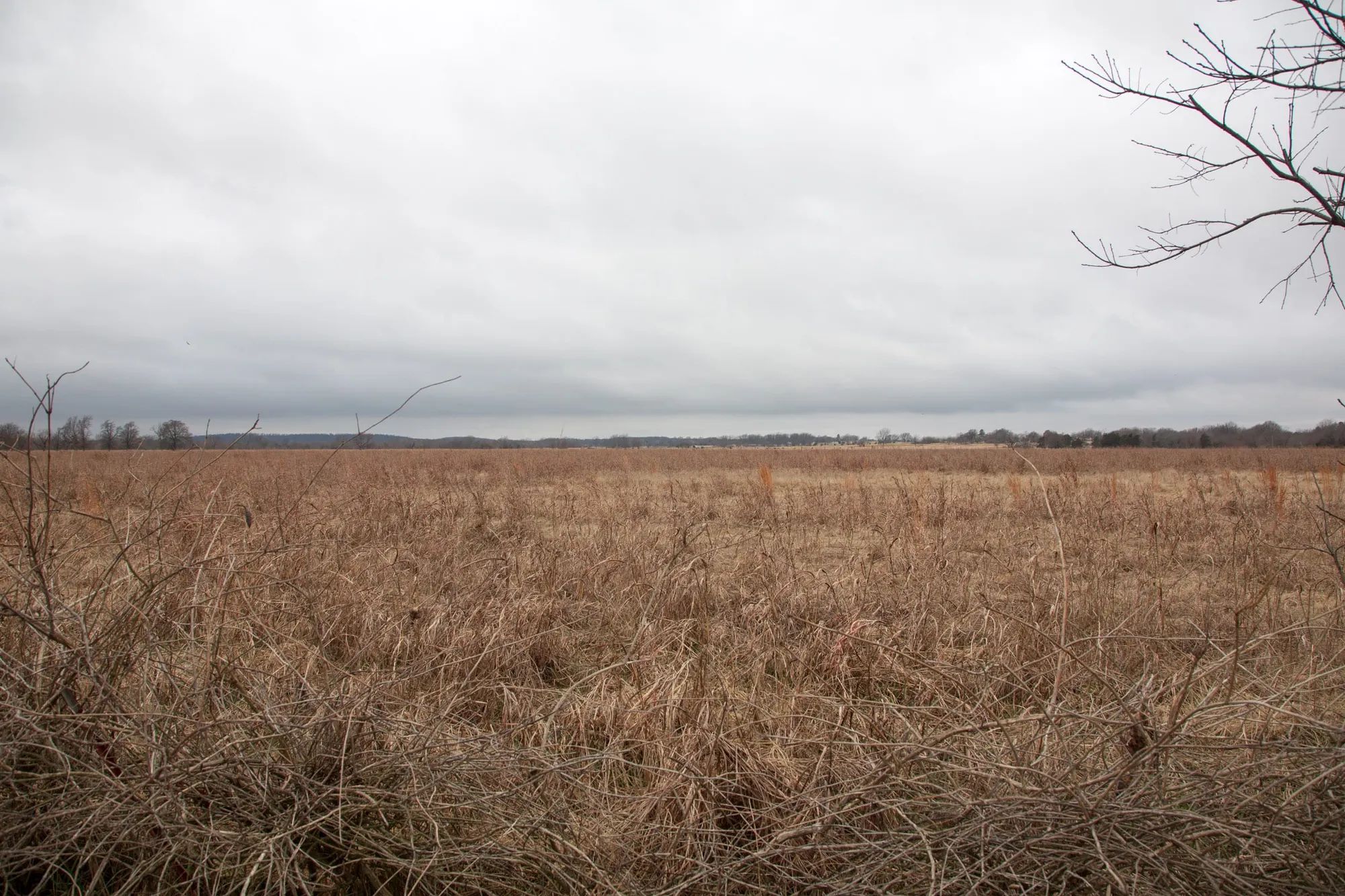 Canadian Plains Tract 12 in Pittsburg County, OK
