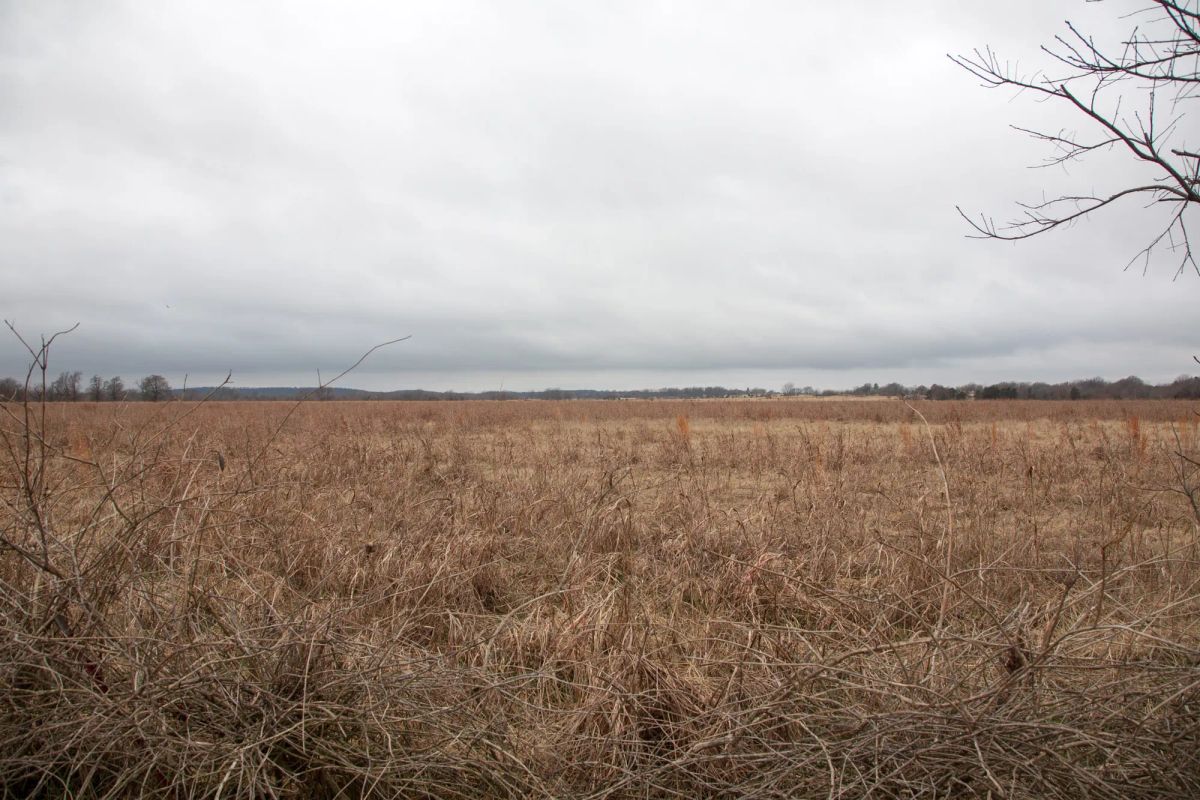Canadian Plains Tract 12 - Image 3