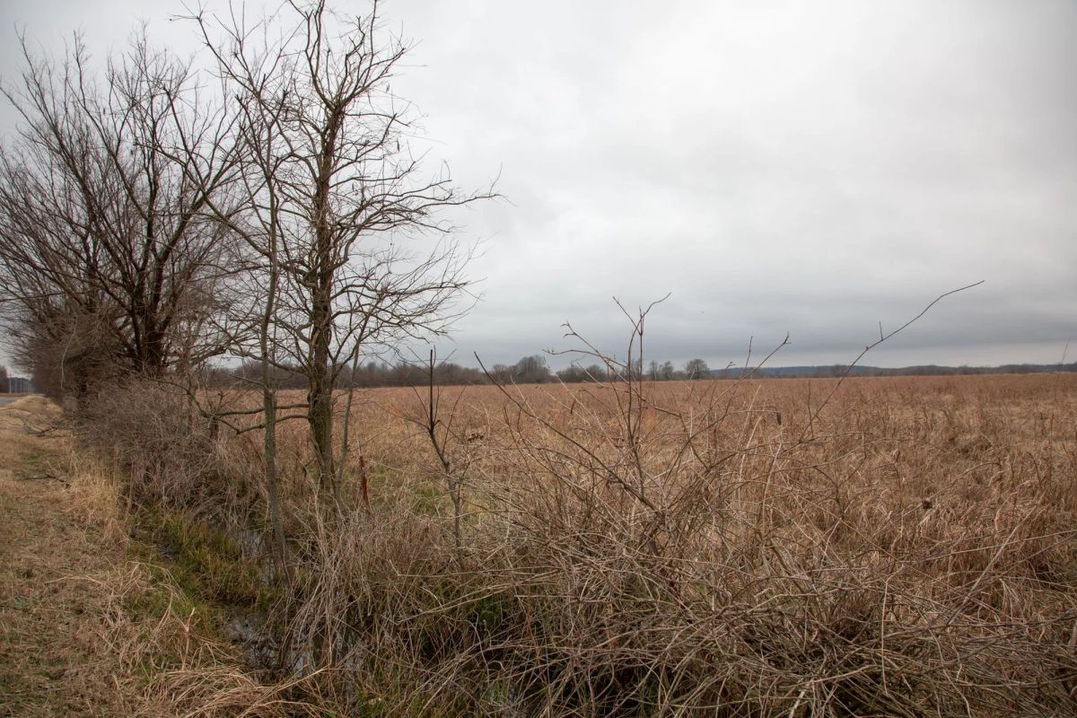 Canadian Plains Tract 12 - Image 4