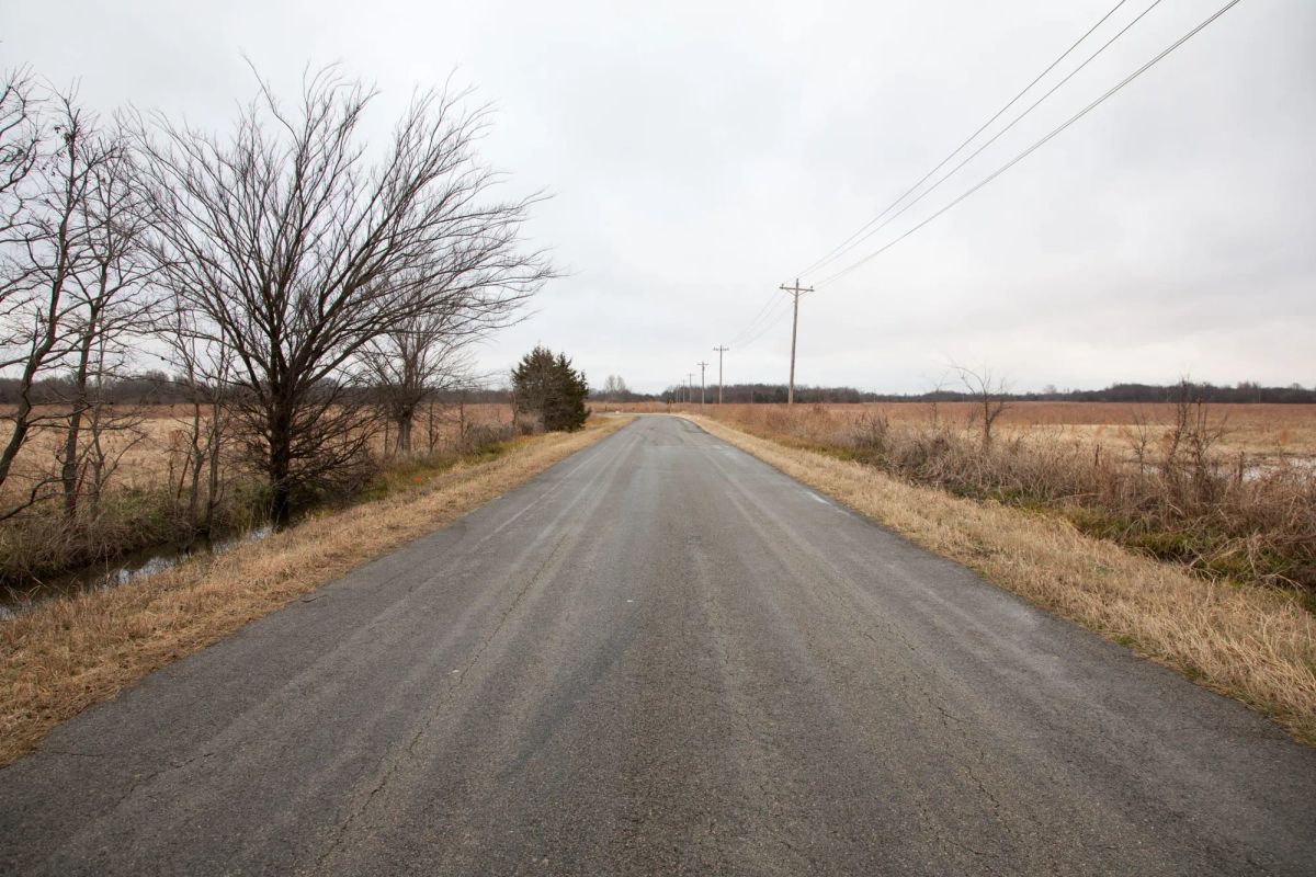 Decorative background for Canadian Plains Tract 12 image 6
