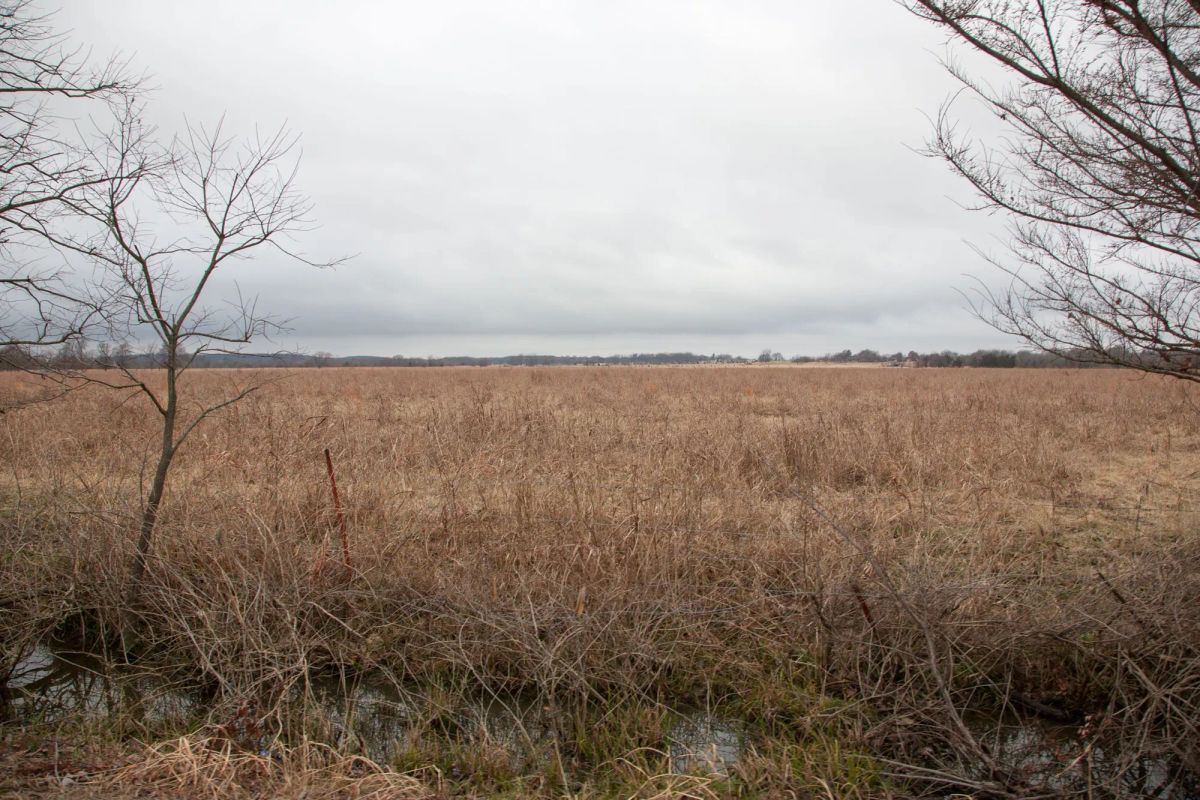 Decorative background for Canadian Plains Tract 12 image 7