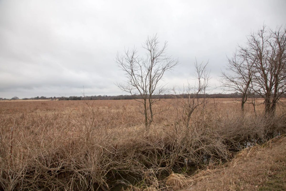 Decorative background for Canadian Plains Tract 12 image 10