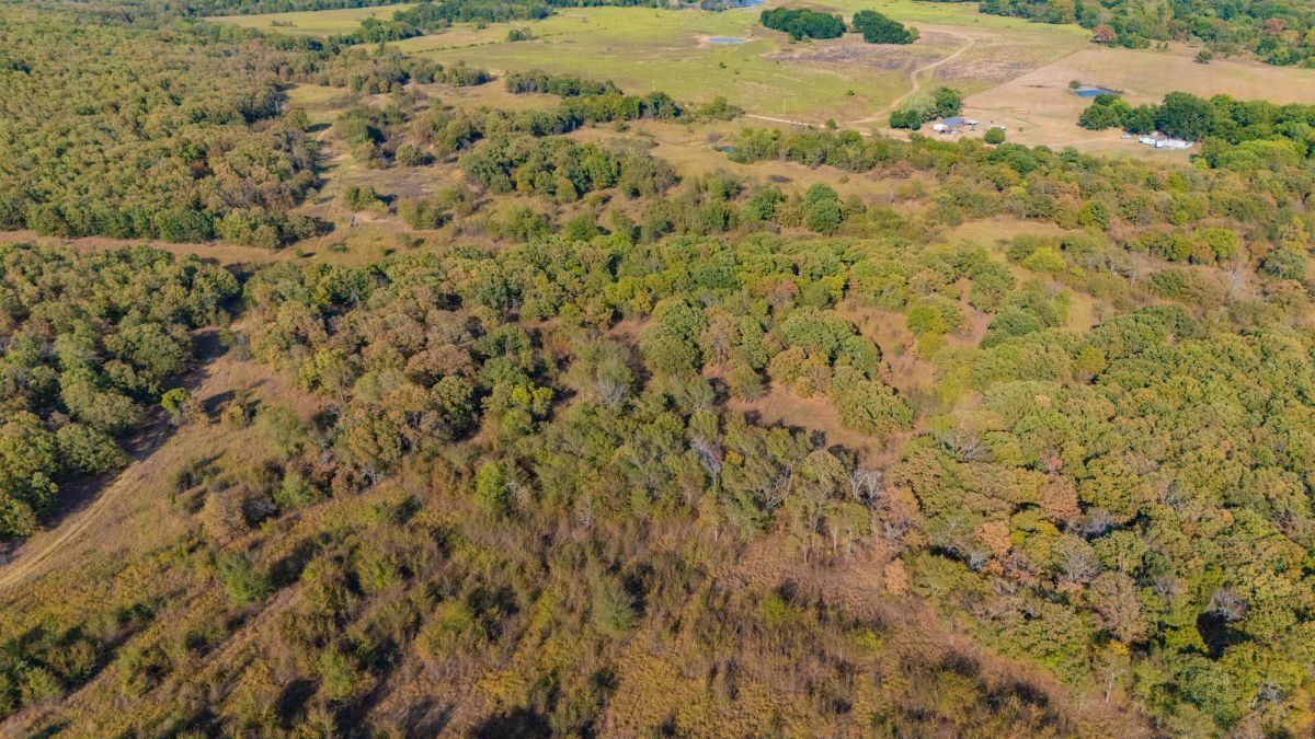 Gracyn Meadows Tract 17 - Image 2