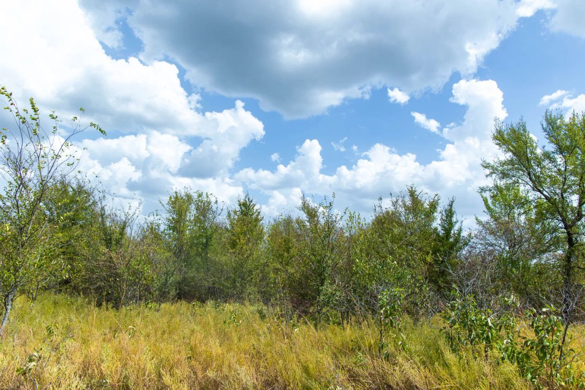 Gracyn Meadows Tract 17 - Image 4