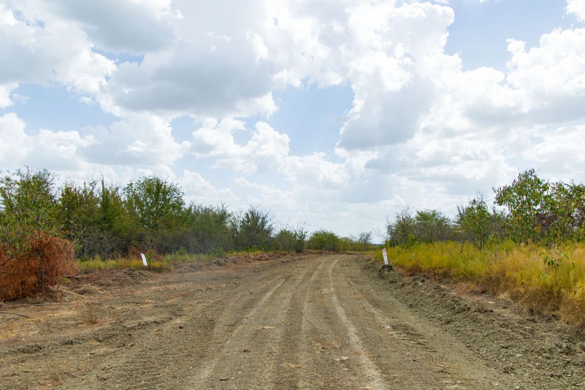 Decorative background for Gracyn Meadows Tract 17 image 6