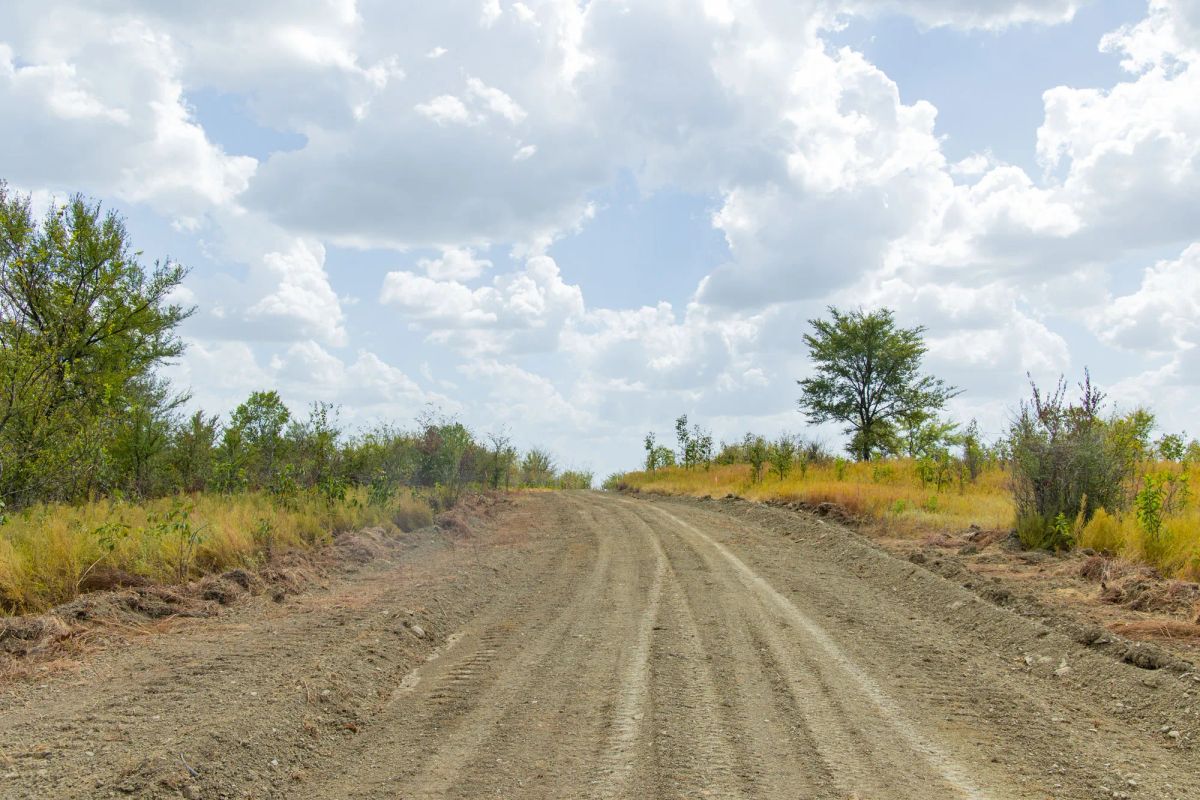 Decorative background for Gracyn Meadows Tract 17 image 7
