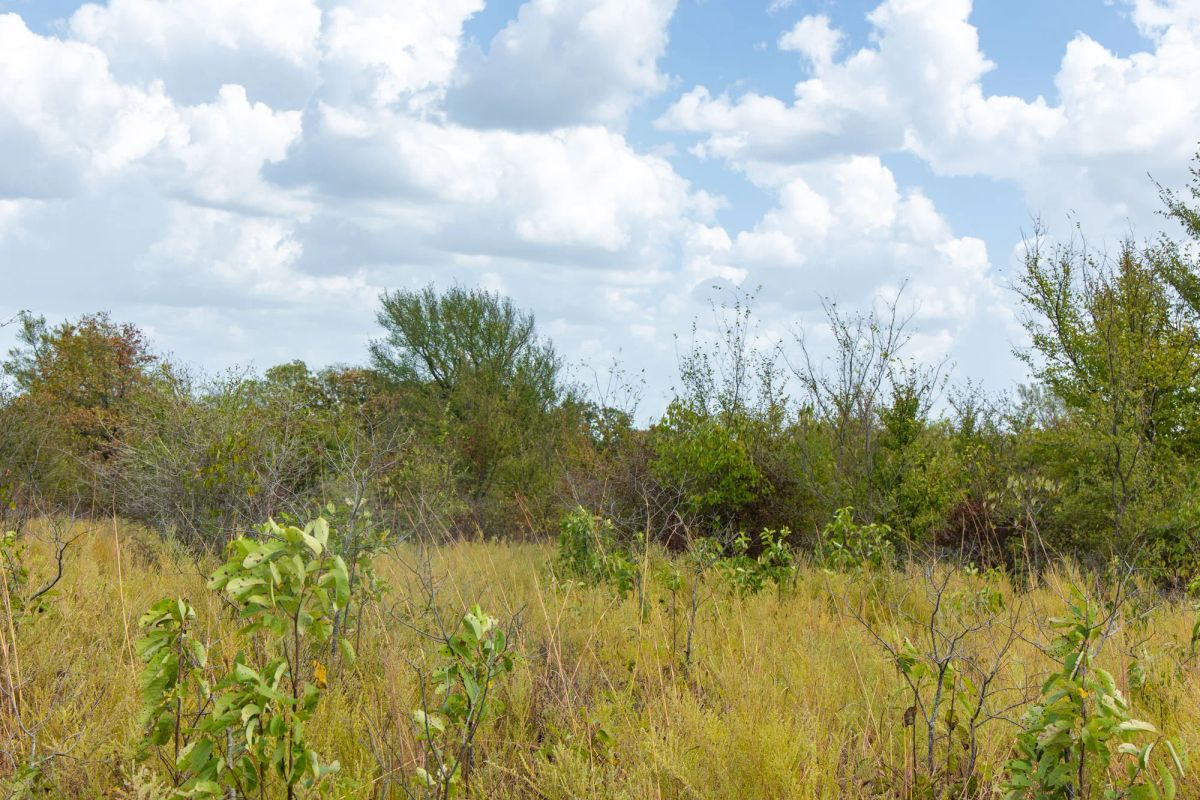 Decorative background for Gracyn Meadows Tract 17 image 9