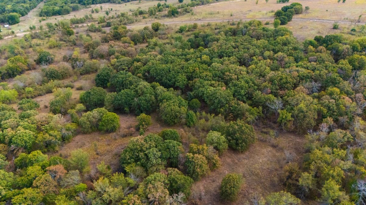 Decorative background for Gracyn Meadows Tract 17 image 10