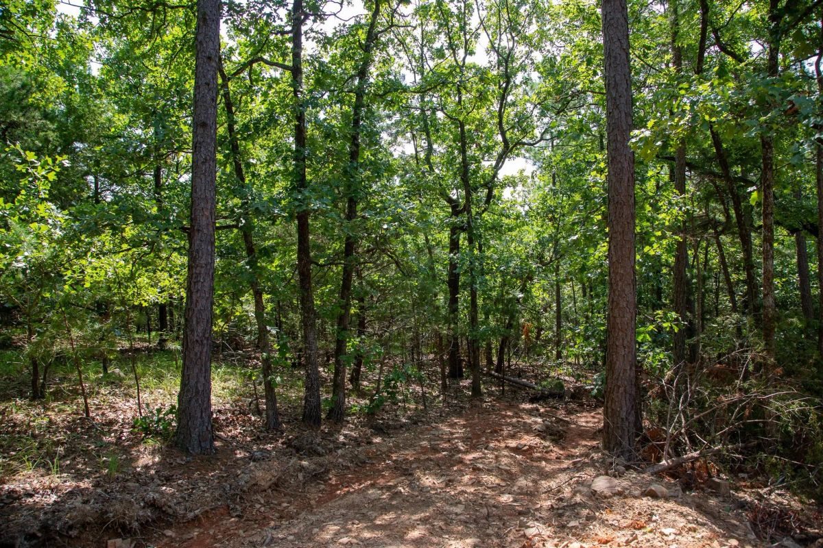 Tyler Stone Ranch Tract 50 - Main image