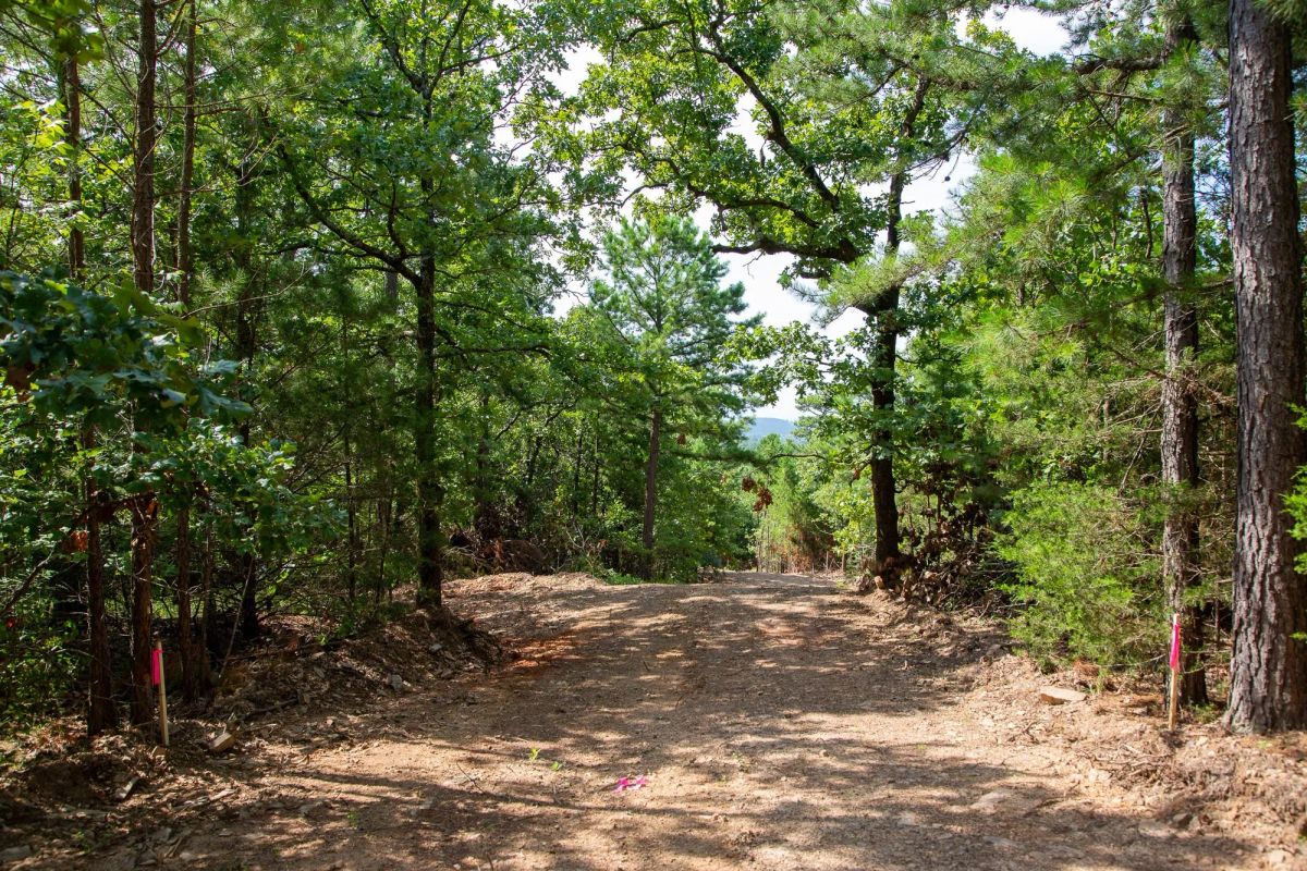 Tyler Stone Ranch Tract 50 - Image 2