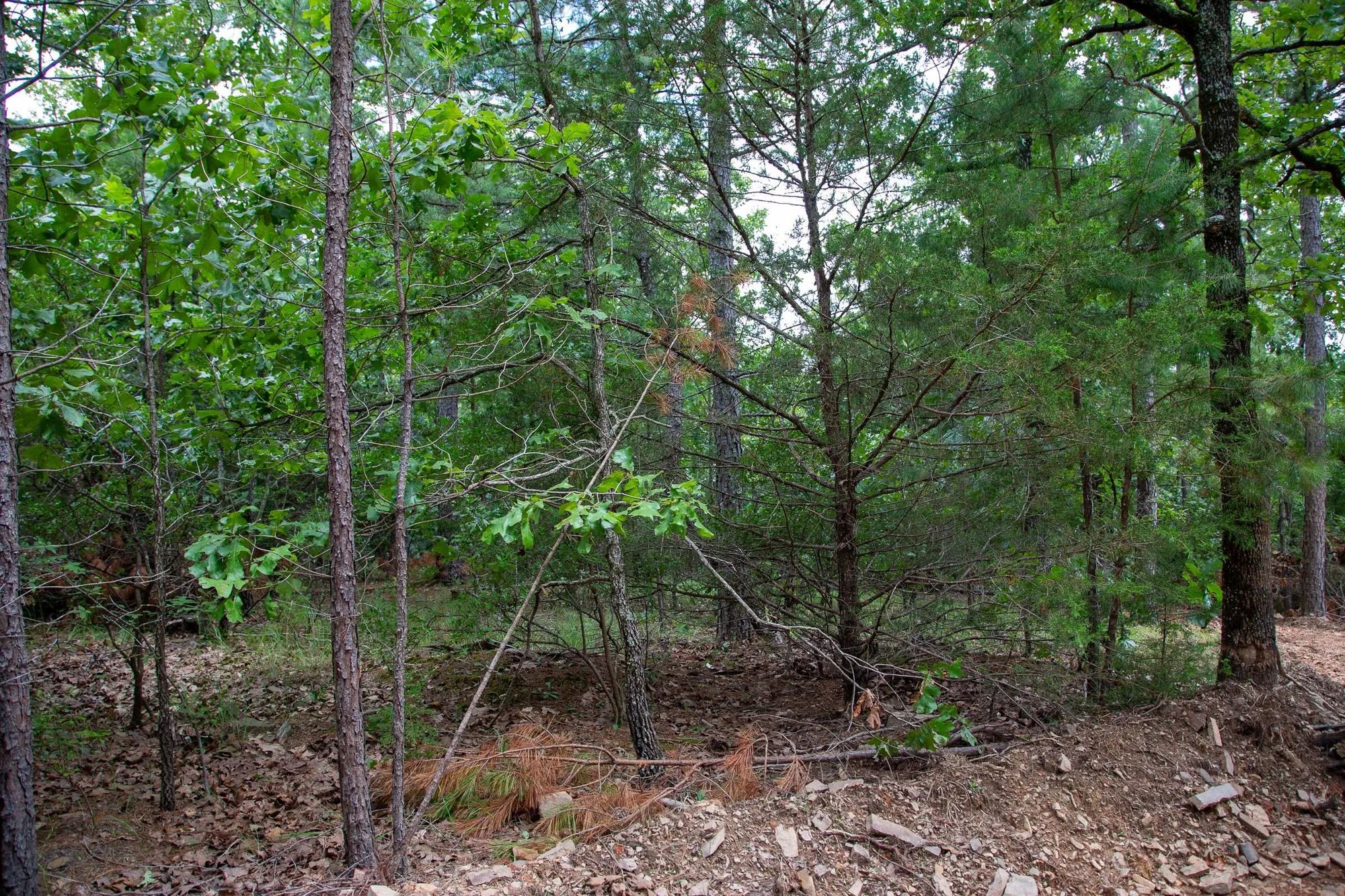 Tyler Stone Ranch Tract 50 in Le Flore County, OK