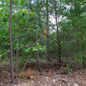 Tyler Stone Ranch Tract 50 in Le Flore County, OK