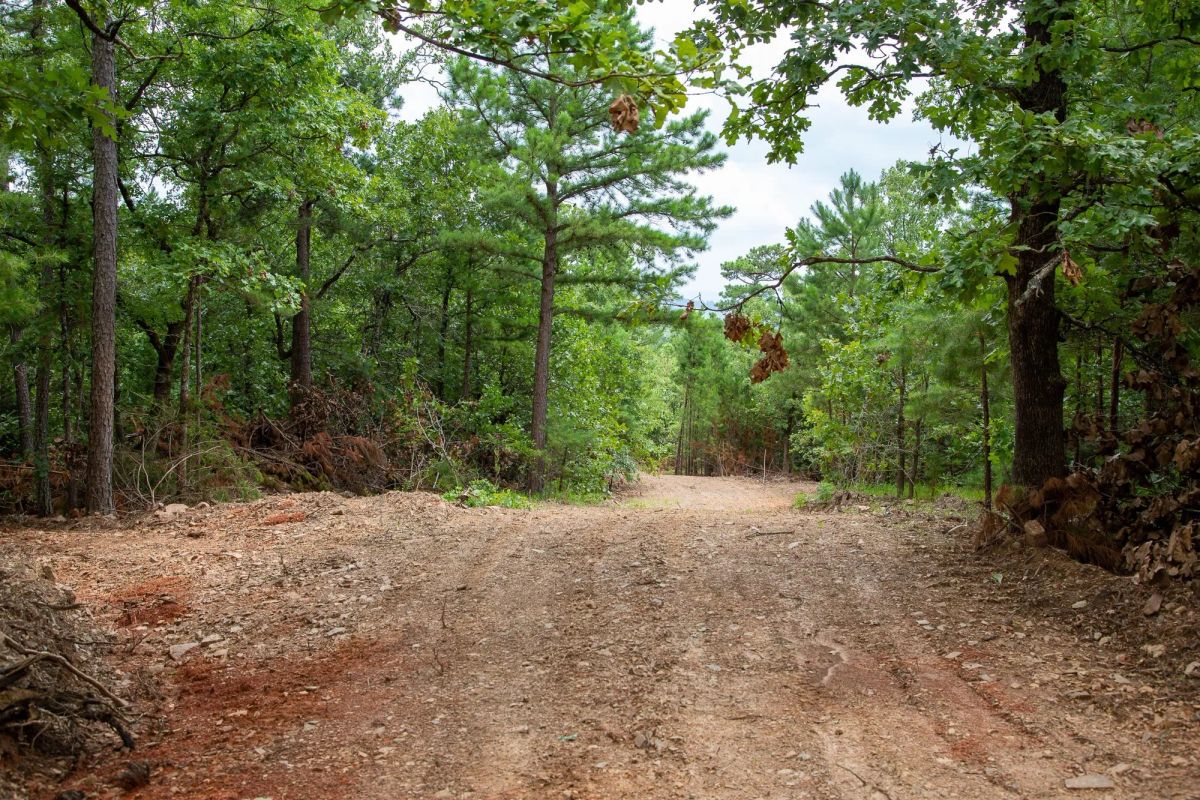 Decorative background for Tyler Stone Ranch Tract 50 image 5