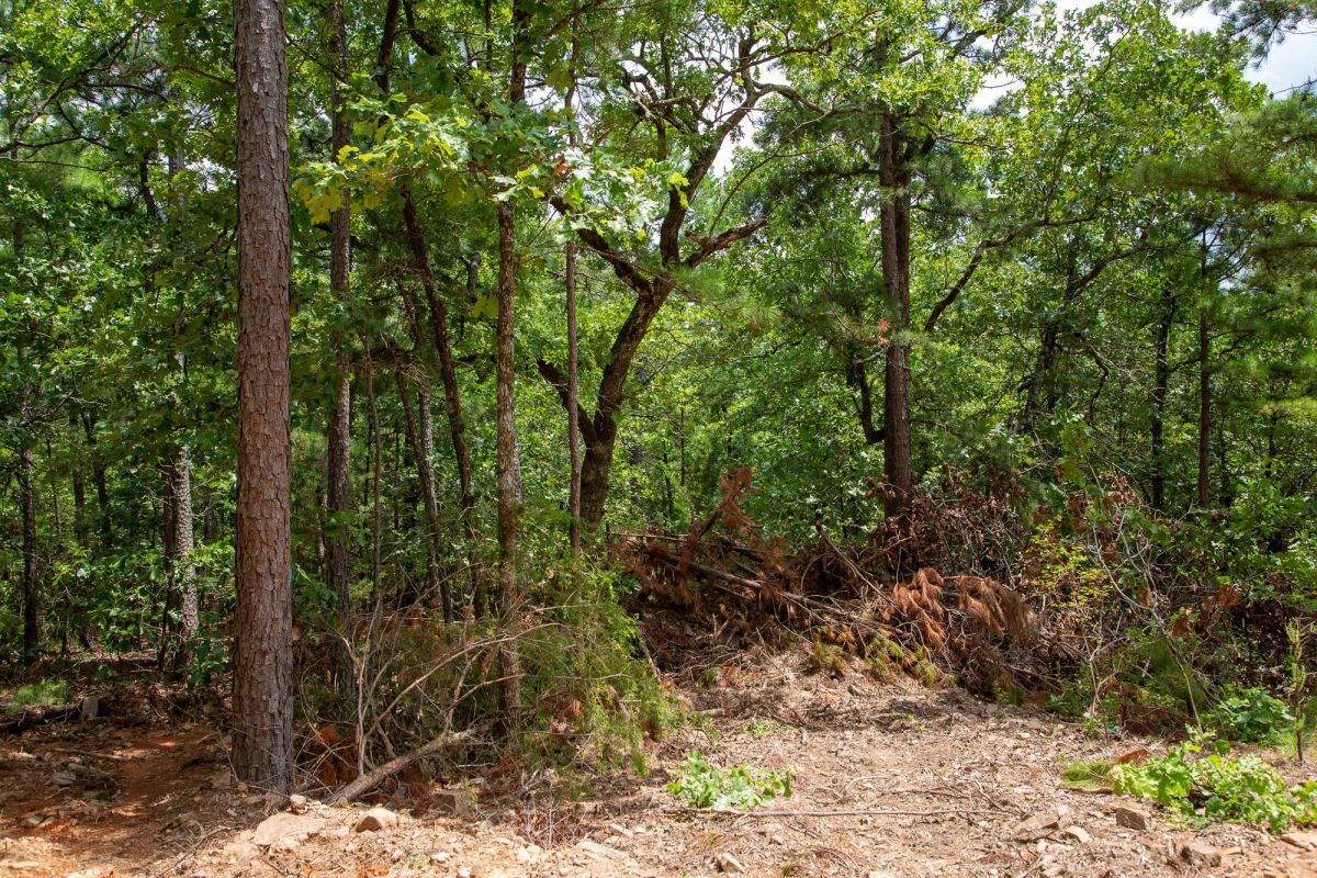 Decorative background for Tyler Stone Ranch Tract 50 image 8