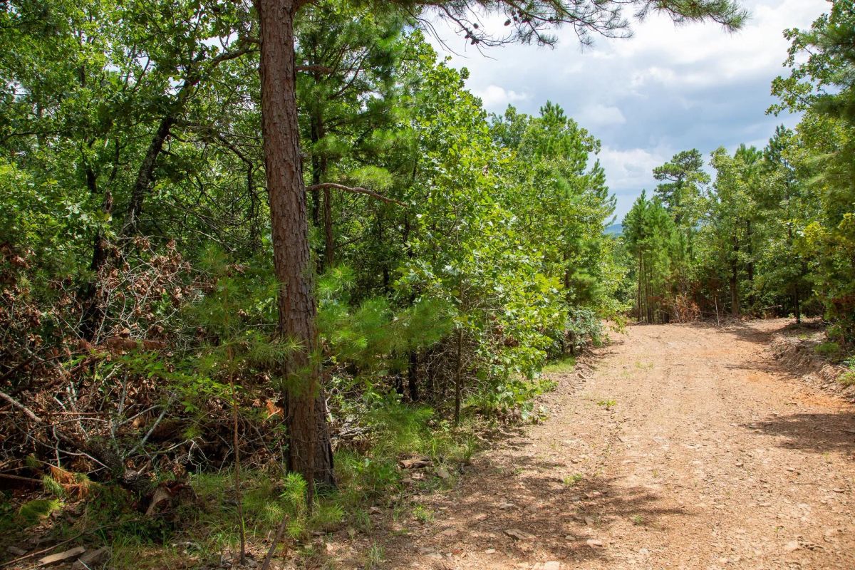 Decorative background for Tyler Stone Ranch Tract 50 image 9