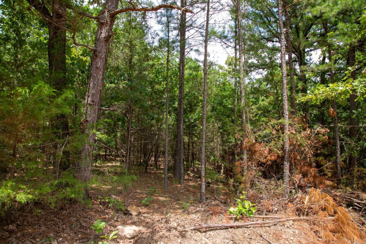 Decorative background for Tyler Stone Ranch Tract 50 image 11