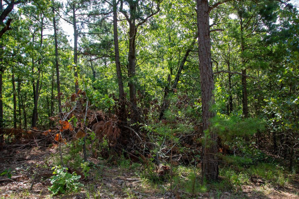 Decorative background for Tyler Stone Ranch Tract 50 image 14
