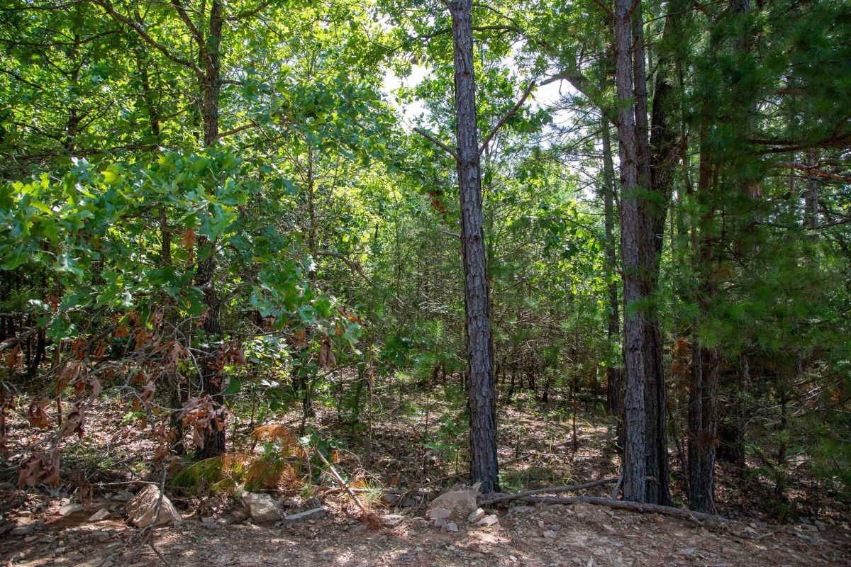 Decorative background for Tyler Stone Ranch Tract 50 image 15