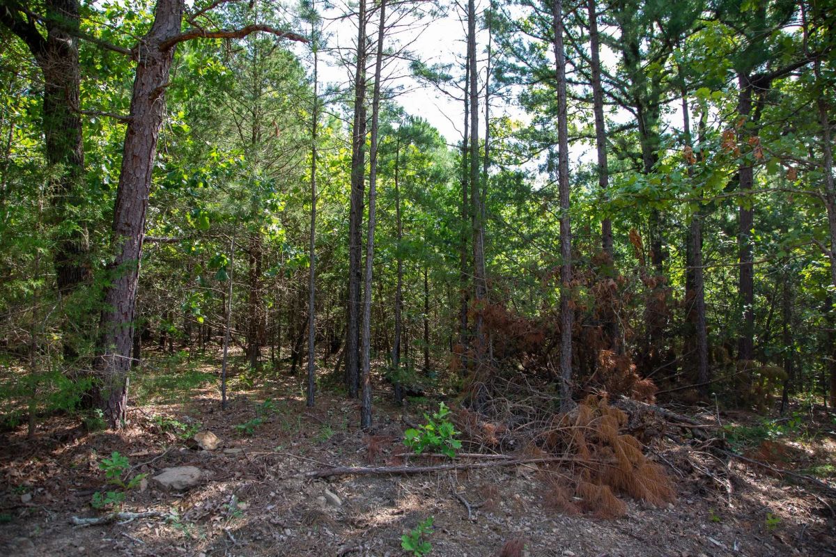 Decorative background for Tyler Stone Ranch Tract 50 image 16