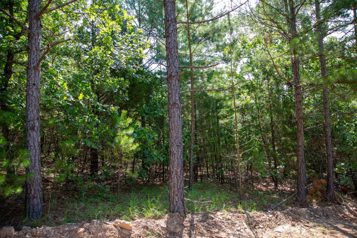 Decorative background for Tyler Stone Ranch Tract 50 image 18