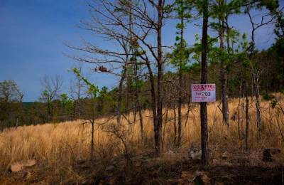 Stone Creek Phase II Tract 203